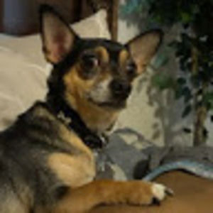 Meet your Posher, Eugene